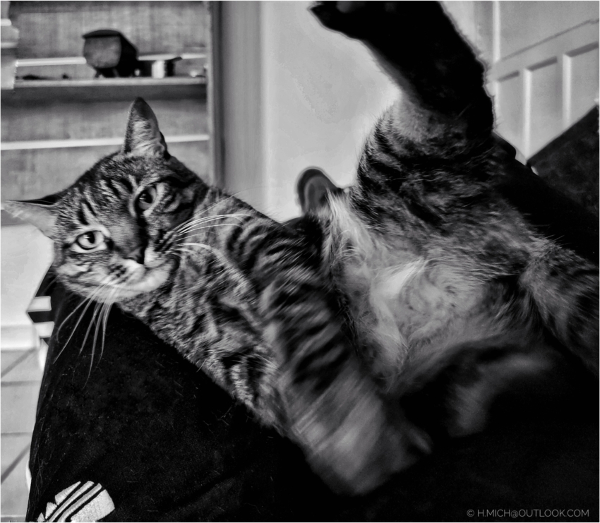 Studio-One.Art.br Repo Fotografia em Rio Preto SP/Brasil