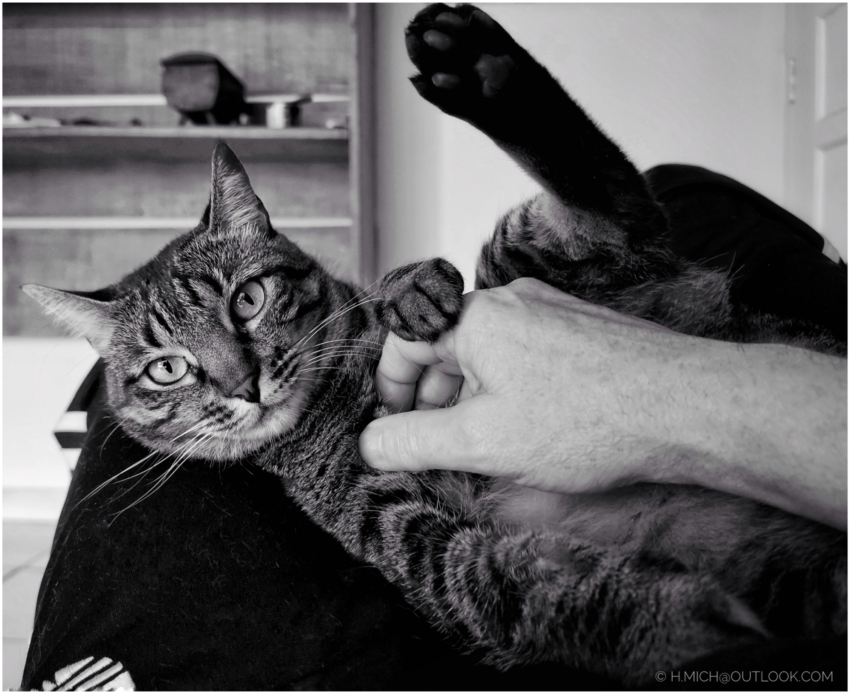 Studio-One.Art.br Repo Fotografia em Rio Preto SP/Brasil