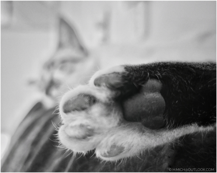 Studio-One.Art.br Repo Fotografia em Rio Preto SP/Brasil