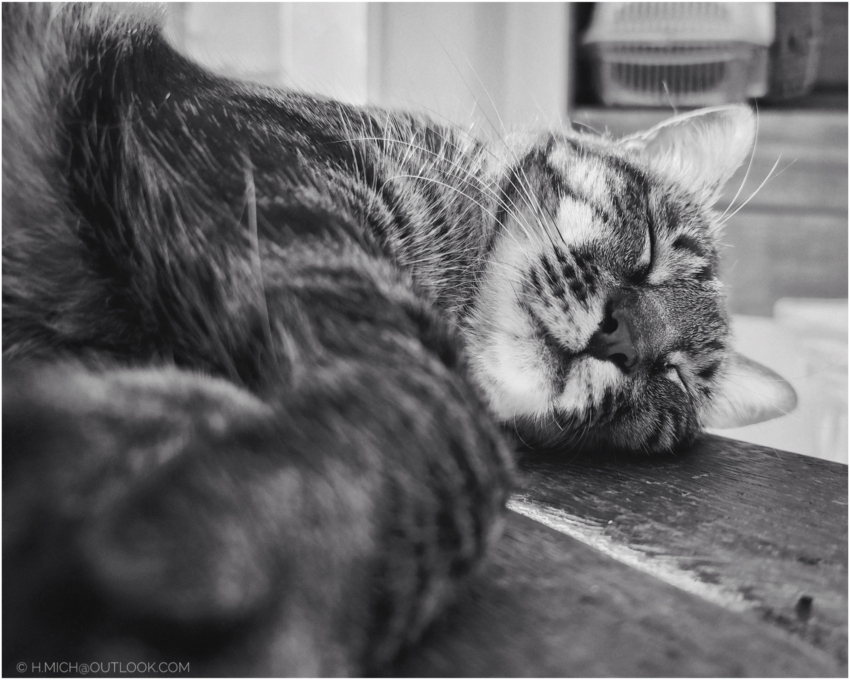 Studio-One.Art.br Repo Fotografia em Rio Preto SP/Brasil