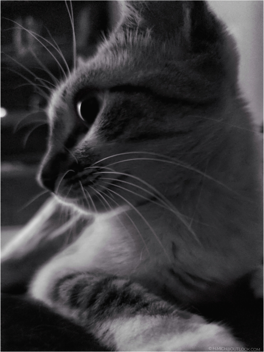 Studio-One.Art.br Repo Fotografia em Rio Preto SP/Brasil