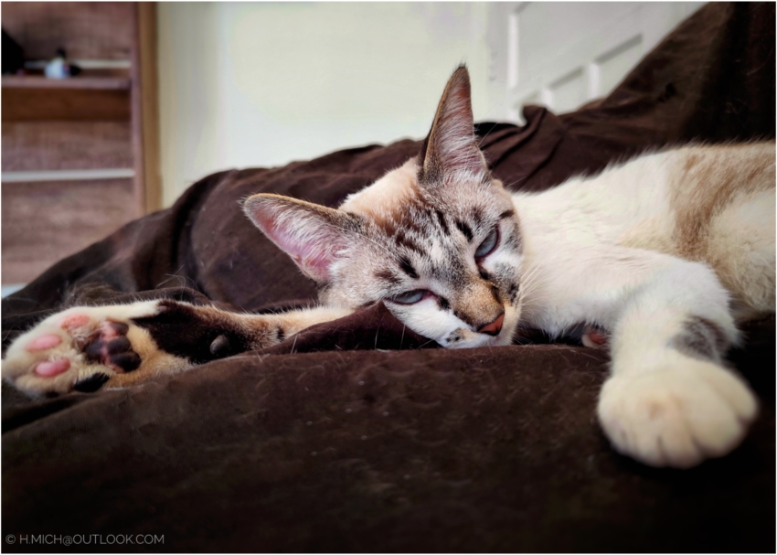 Studio-One.Art.br Repo Fotografia em Rio Preto SP/Brasil