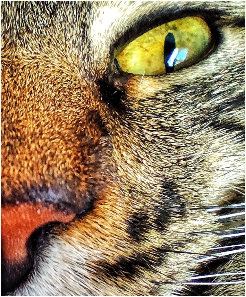 Studio-One.Art.br Repo Fotografia em Rio Preto SP/Brasil