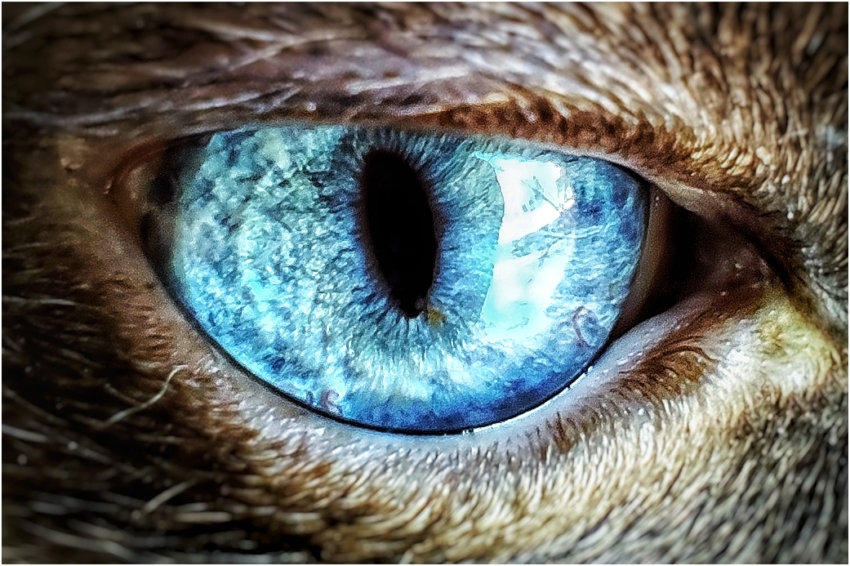 Studio-One.Art.br Repo Fotografia em Rio Preto SP/Brasil