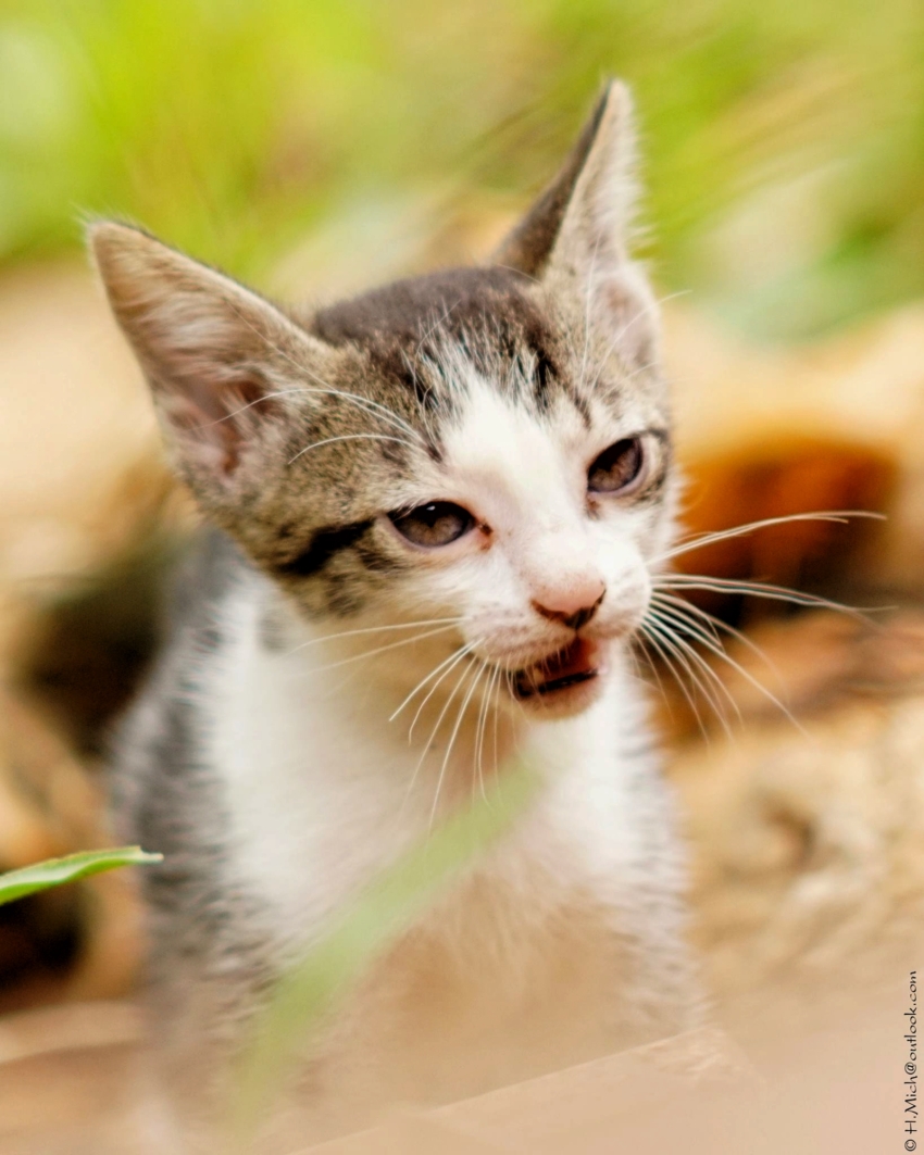 Studio-One.Art.br Repo Fotografia em Rio Preto SP/Brasil