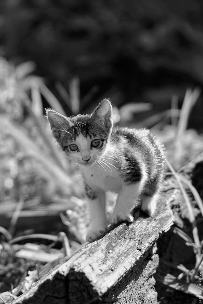 Studio-One.Art.br Repo Fotografia em Rio Preto SP/Brasil