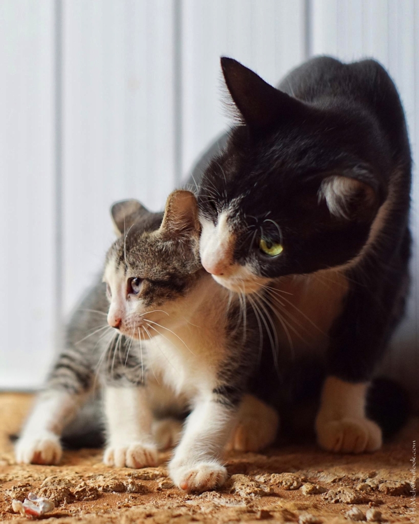 Studio-One.Art.br Repo Fotografia em Rio Preto SP/Brasil