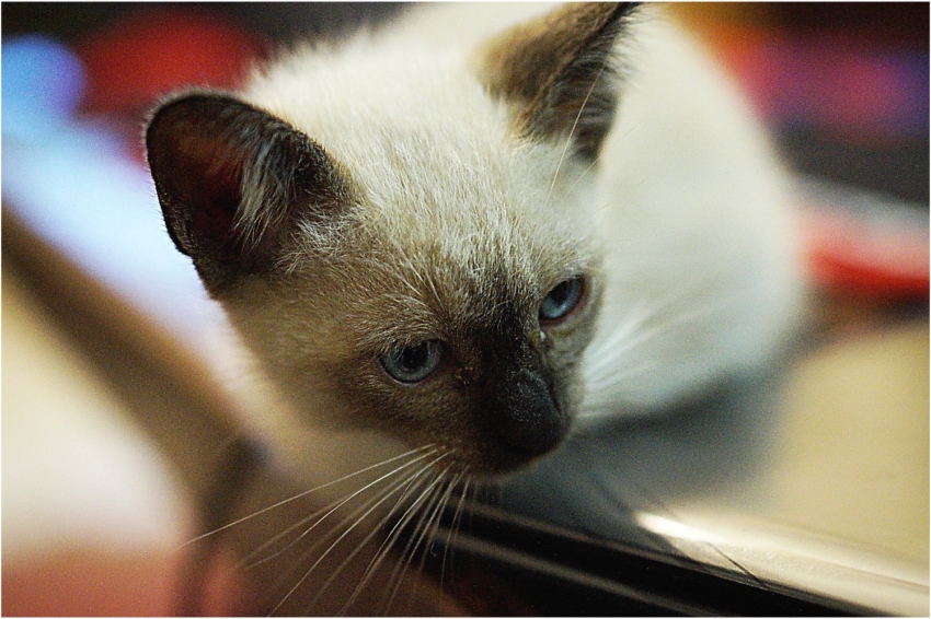 Studio-One.Art.br Repo Fotografia em Rio Preto SP/Brasil