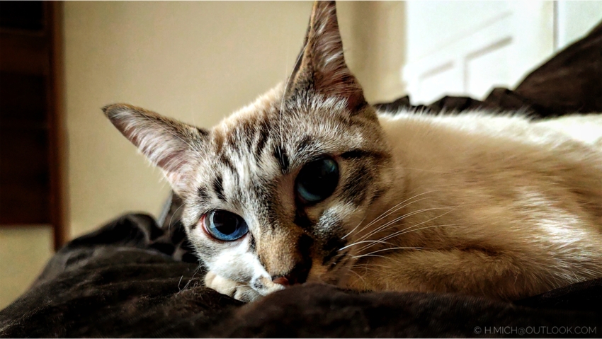 Studio-One.Art.br Repo Fotografia em Rio Preto SP/Brasil