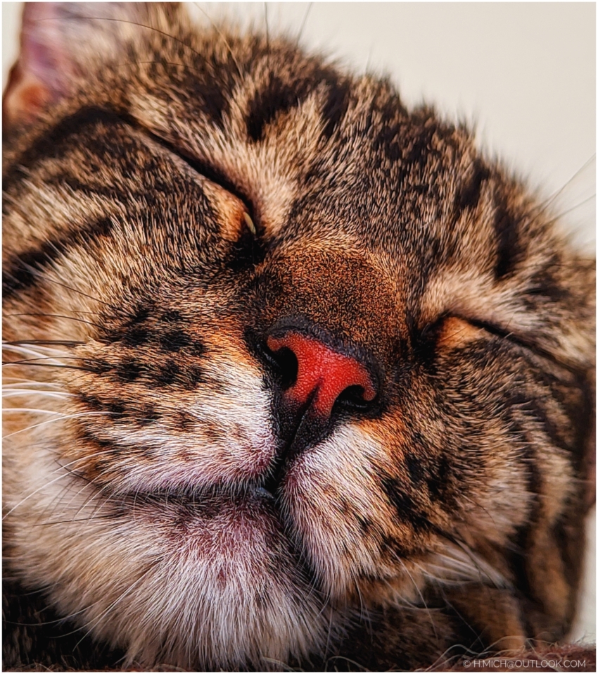 Studio-One.Art.br Repo Fotografia em Rio Preto SP/Brasil