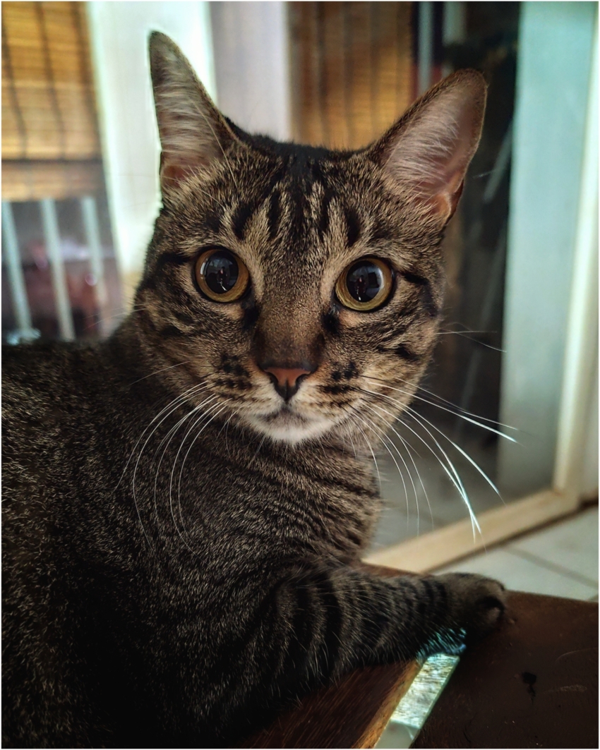 Studio-One.Art.br Repo Fotografia em Rio Preto SP/Brasil