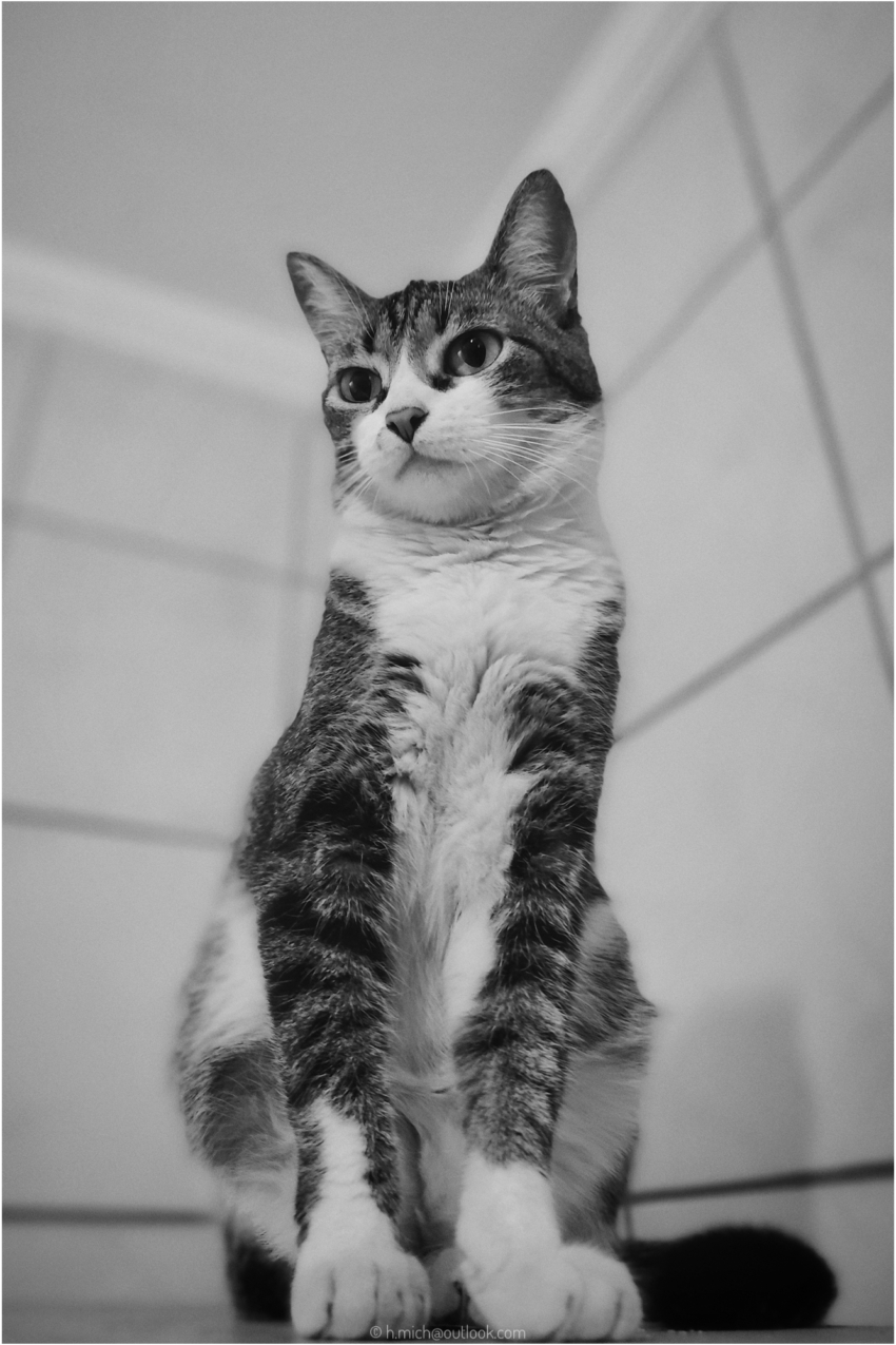 Studio-One.Art.br Repo Fotografia em Rio Preto SP/Brasil