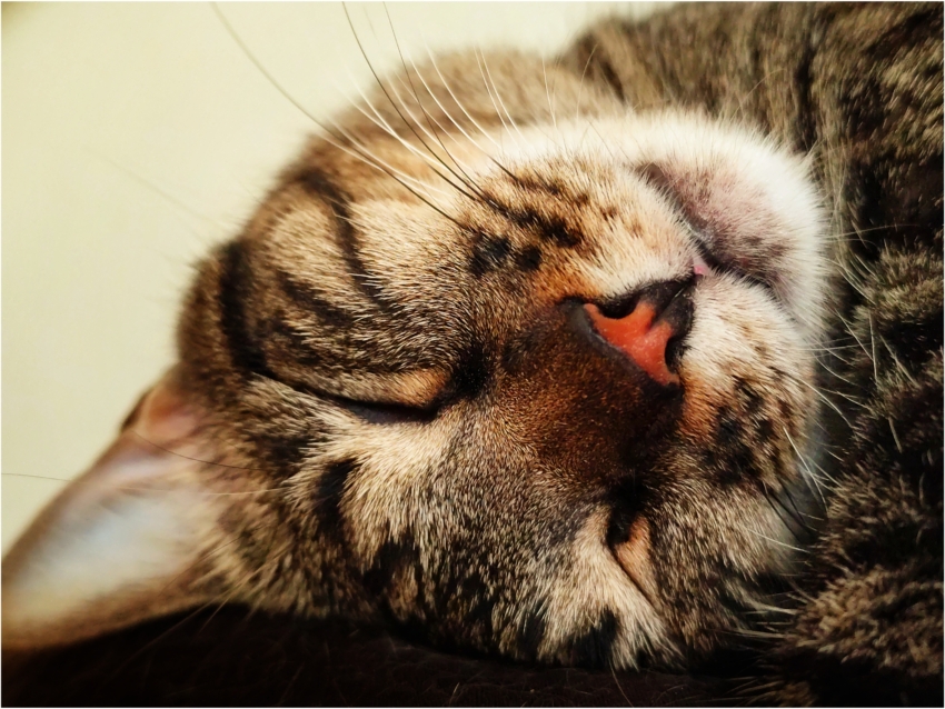 Studio-One.Art.br Repo Fotografia em Rio Preto SP/Brasil