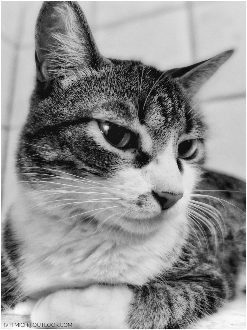 Studio-One.Art.br Repo Fotografia em Rio Preto SP/Brasil