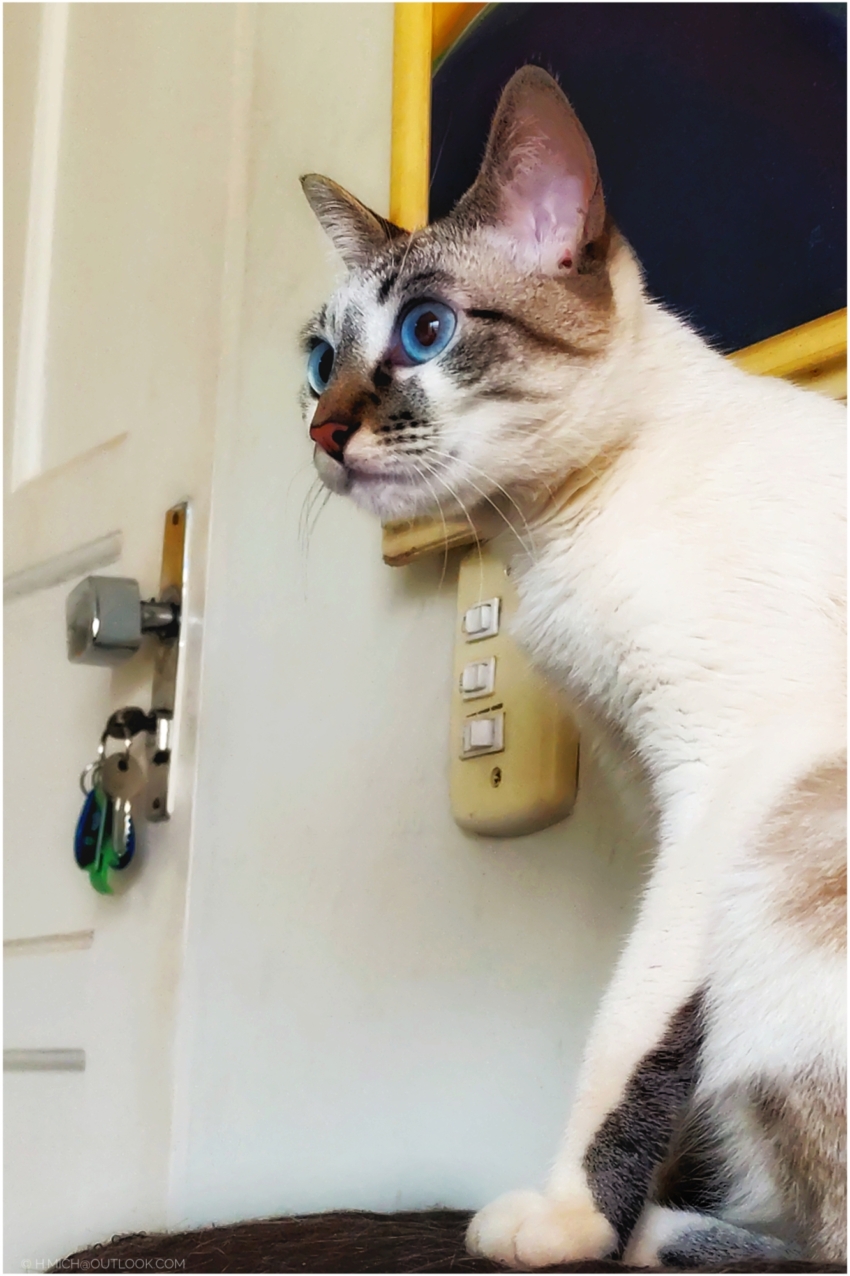 Studio-One.Art.br Repo Fotografia em Rio Preto SP/Brasil