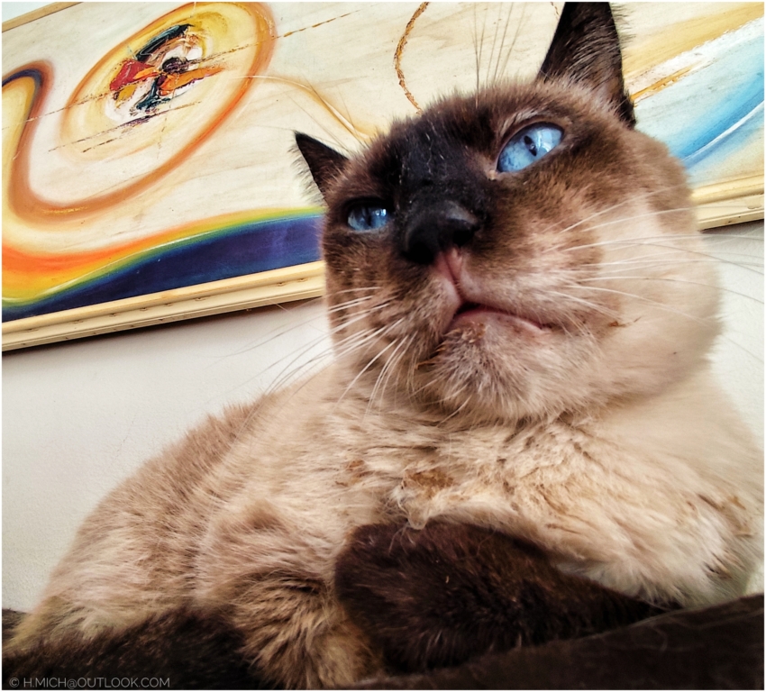 Studio-One.Art.br Repo Fotografia em Rio Preto SP/Brasil