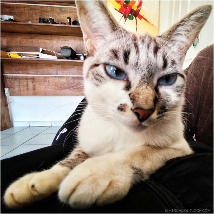 Studio-One.Art.br Repo Fotografia em Rio Preto SP/Brasil