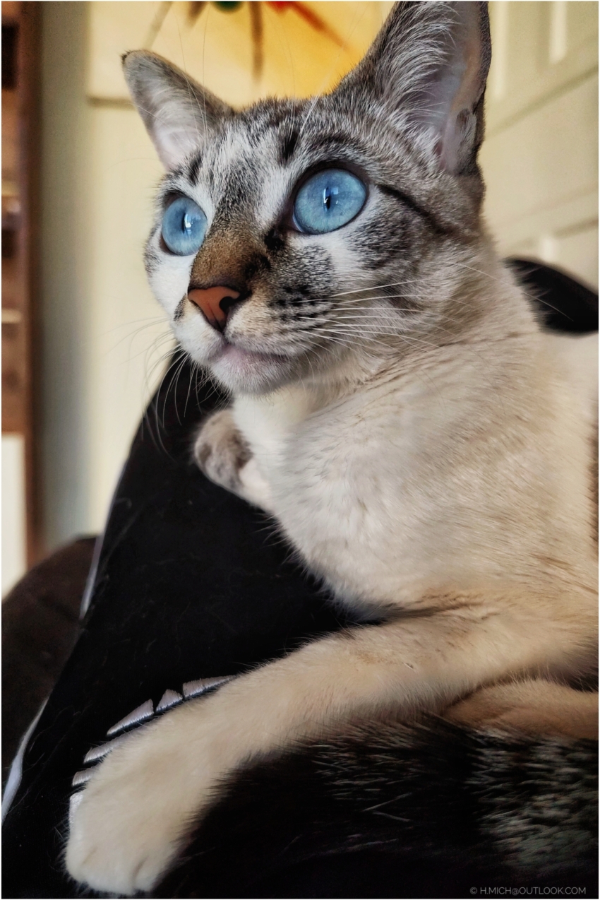 Studio-One.Art.br Repo Fotografia em Rio Preto SP/Brasil