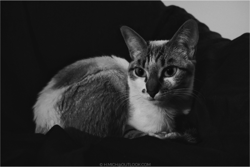 Studio-One.Art.br Repo Fotografia em Rio Preto SP/Brasil