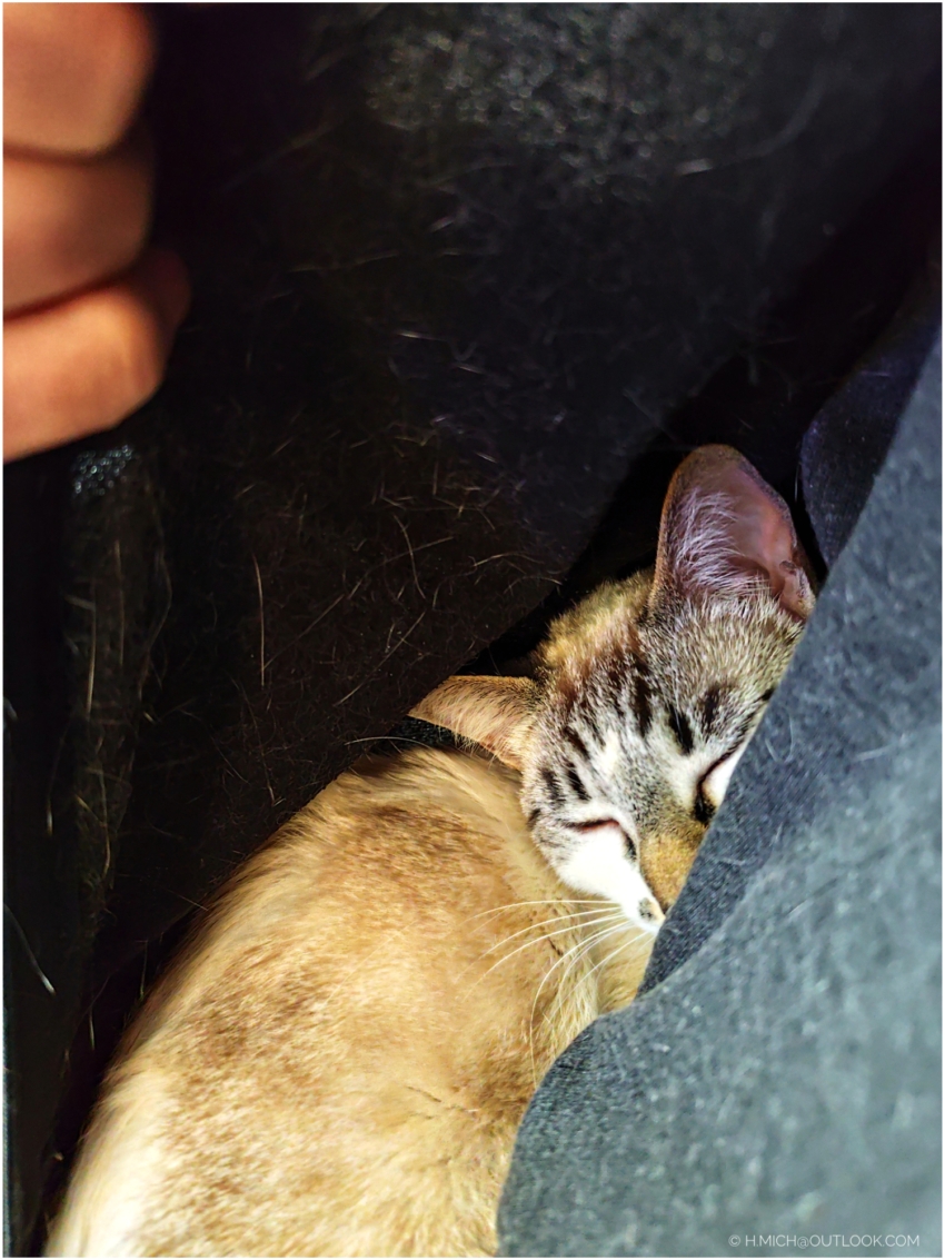 Studio-One.Art.br Repo Fotografia em Rio Preto SP/Brasil