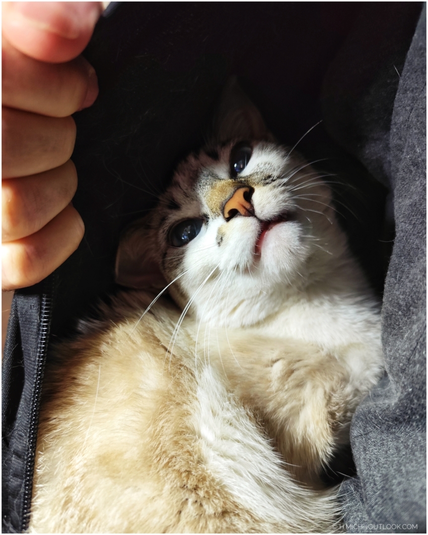 Studio-One.Art.br Repo Fotografia em Rio Preto SP/Brasil