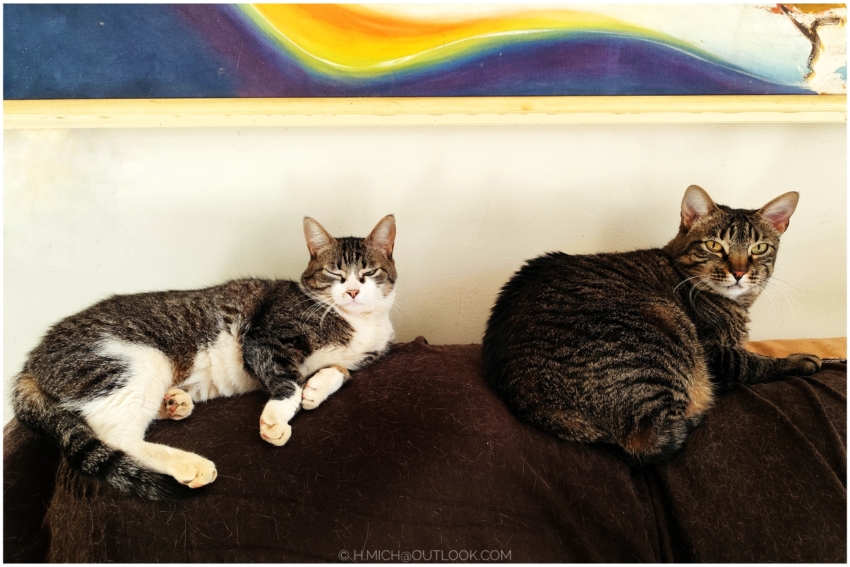 Studio-One.Art.br Repo Fotografia em Rio Preto SP/Brasil