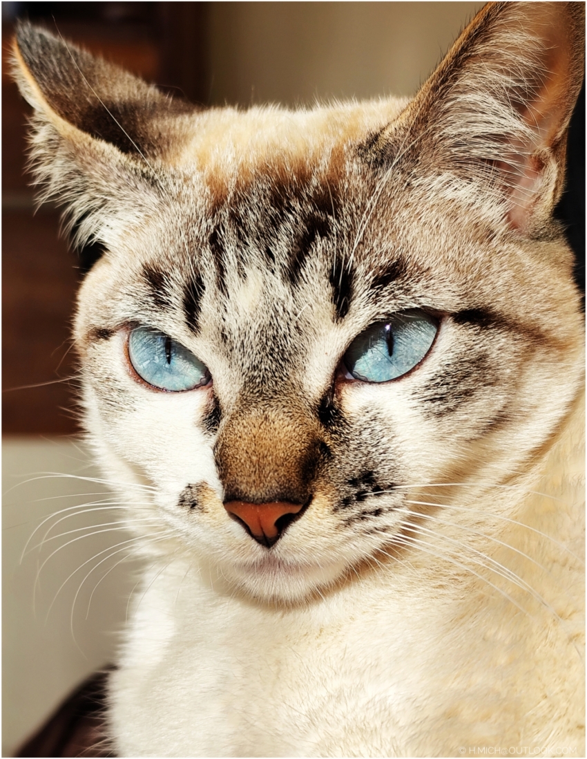 Studio-One.Art.br Repo Fotografia em Rio Preto SP/Brasil