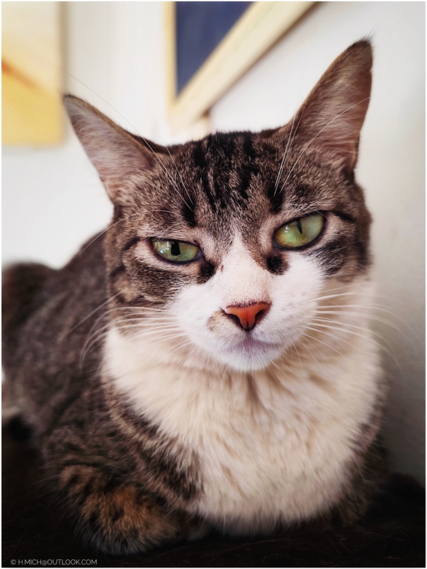 Studio-One.Art.br Repo Fotografia em Rio Preto SP/Brasil