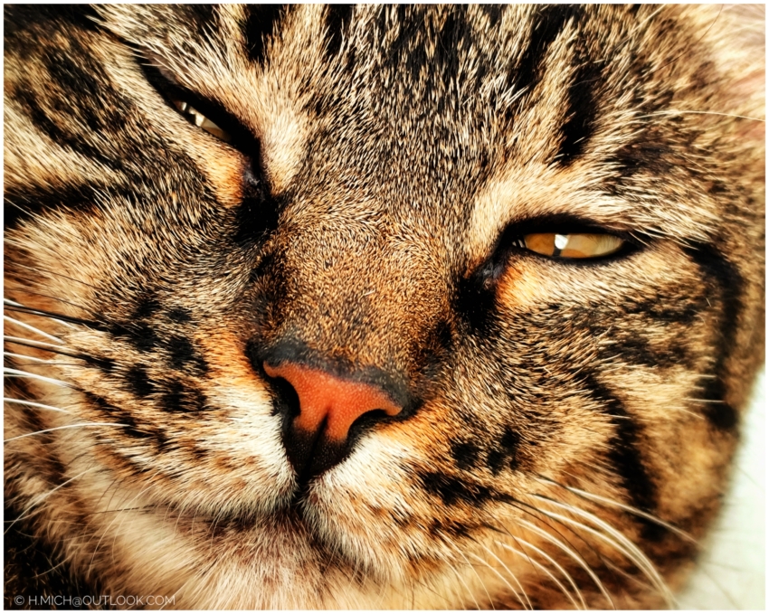 Studio-One.Art.br Repo Fotografia em Rio Preto SP/Brasil