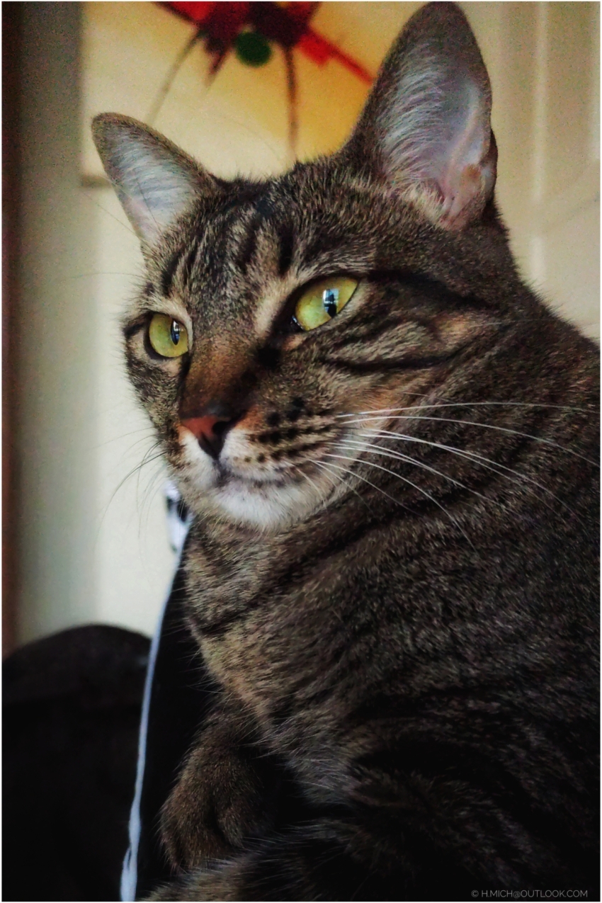 Studio-One.Art.br Repo Fotografia em Rio Preto SP/Brasil