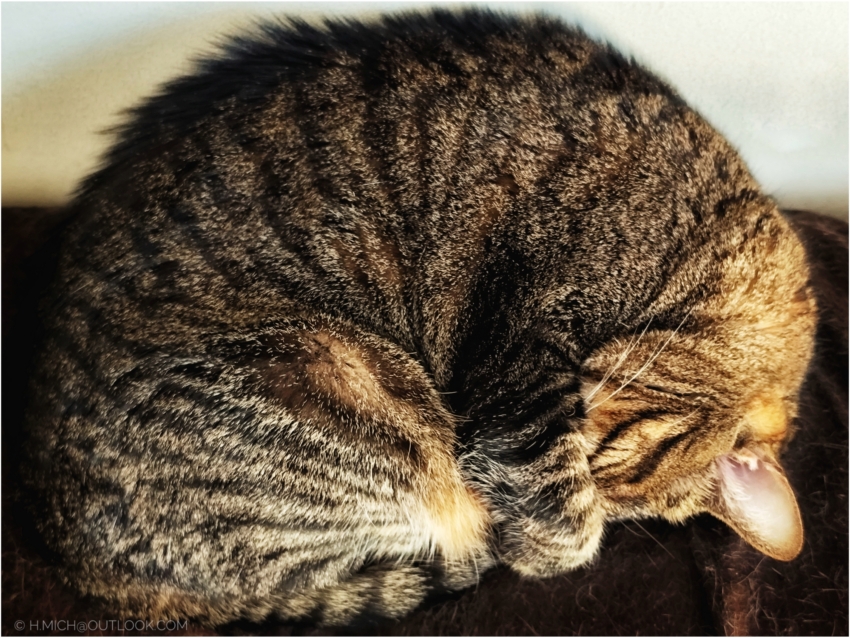 Studio-One.Art.br Repo Fotografia em Rio Preto SP/Brasil