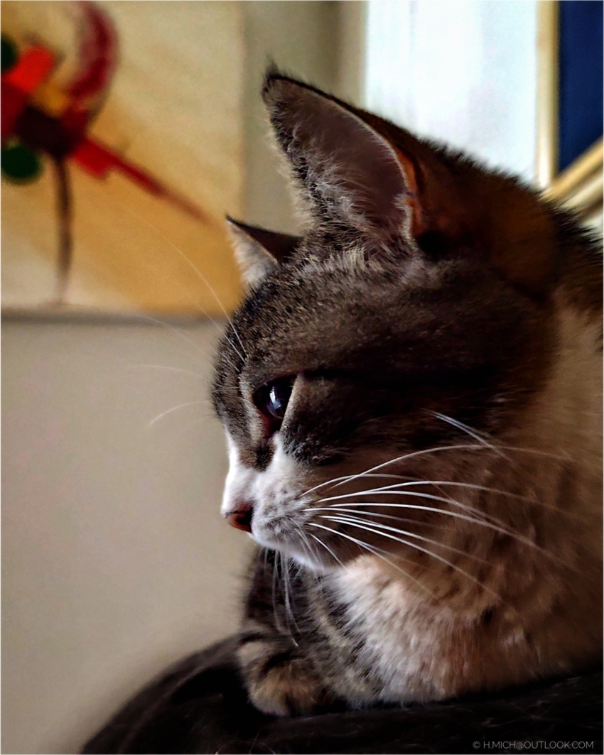 Studio-One.Art.br Repo Fotografia em Rio Preto SP/Brasil