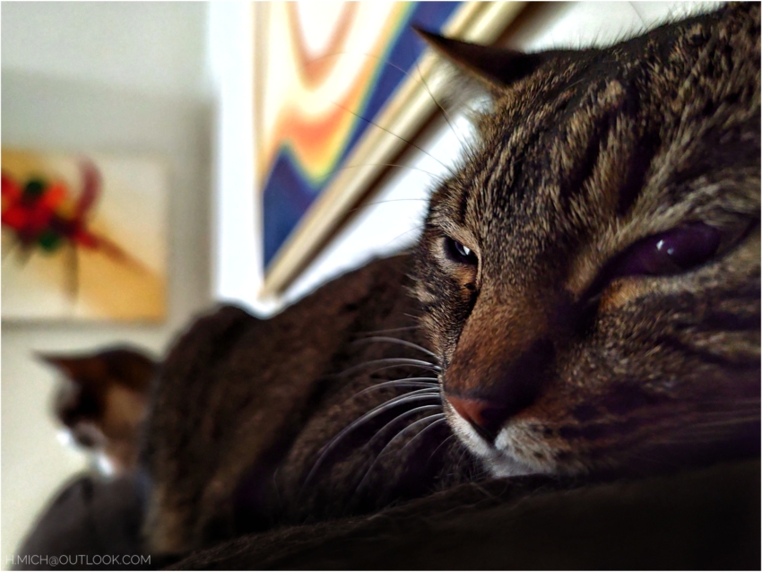 Studio-One.Art.br Repo Fotografia em Rio Preto SP/Brasil