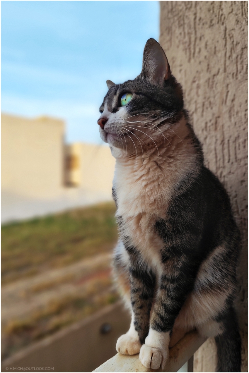 Studio-One.Art.br Repo Fotografia em Rio Preto SP/Brasil