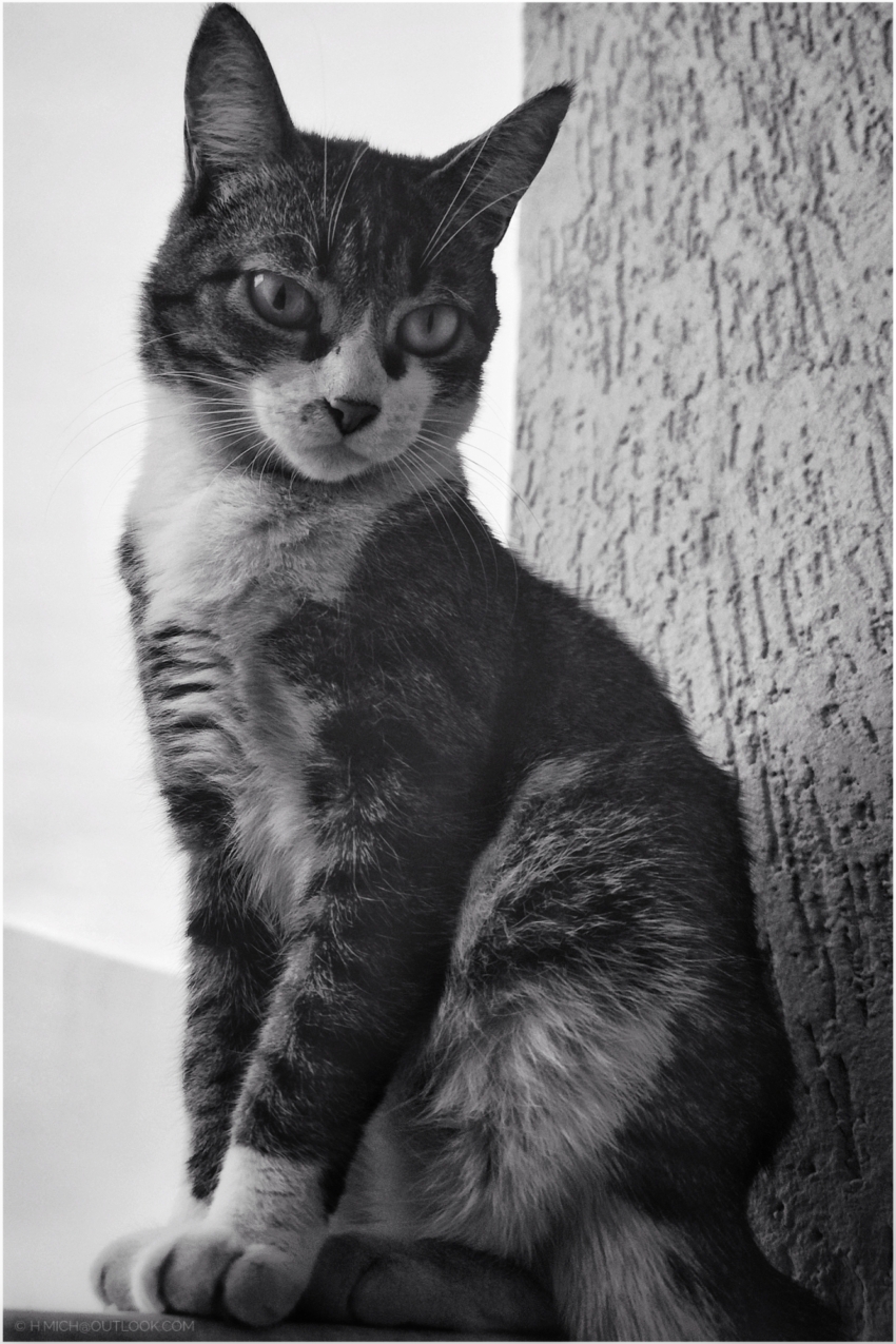 Studio-One.Art.br Repo Fotografia em Rio Preto SP/Brasil