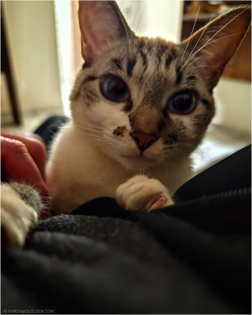 Studio-One.Art.br Repo Fotografia em Rio Preto SP/Brasil