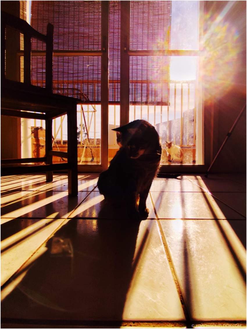 Studio-One.Art.br Repo Fotografia em Rio Preto SP/Brasil