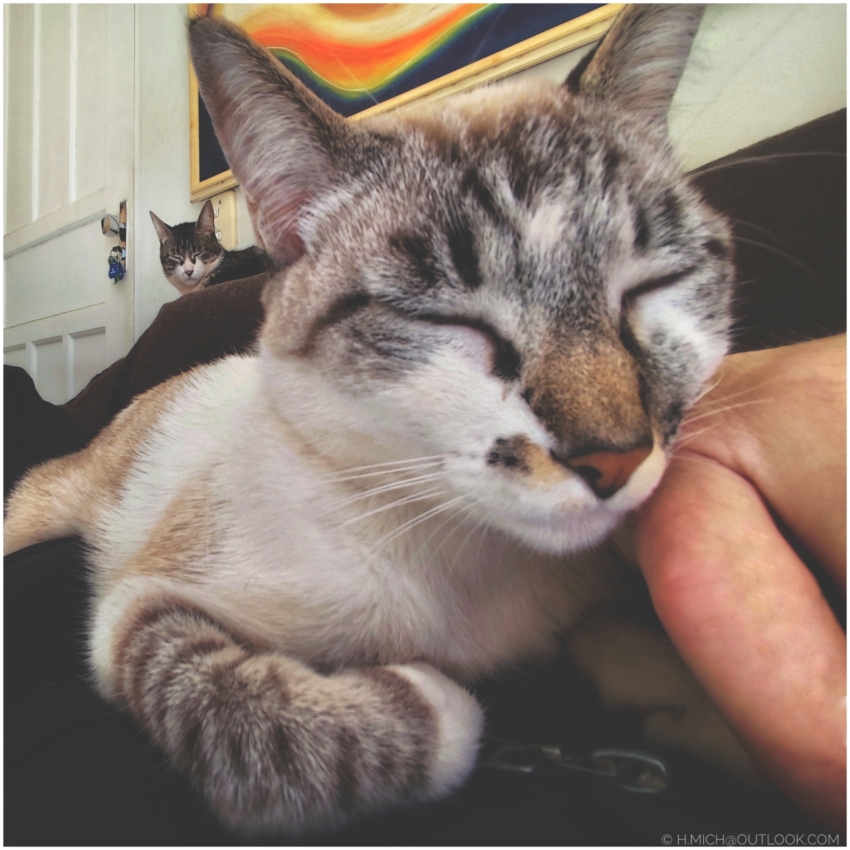 Studio-One.Art.br Repo Fotografia em Rio Preto SP/Brasil