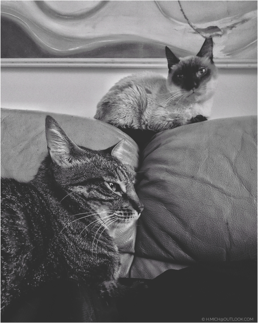 Studio-One.Art.br Repo Fotografia em Rio Preto SP/Brasil