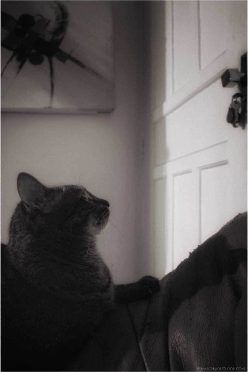 Studio-One.Art.br Repo Fotografia em Rio Preto SP/Brasil