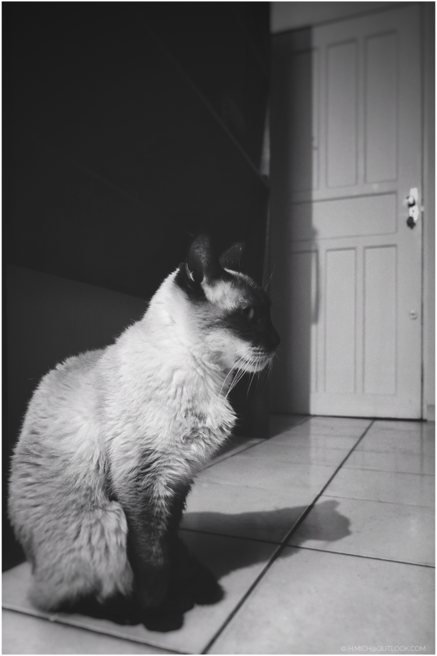 Studio-One.Art.br Repo Fotografia em Rio Preto SP/Brasil