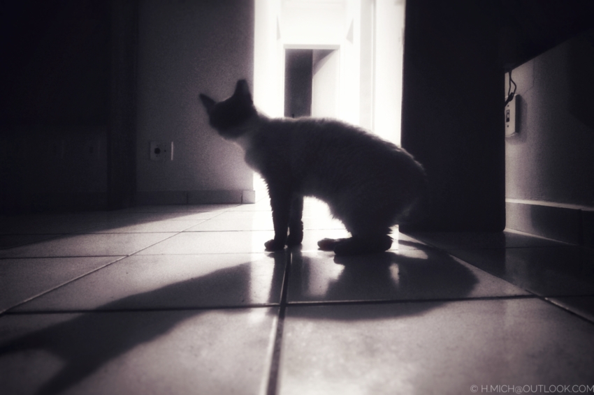 Studio-One.Art.br Repo Fotografia em Rio Preto SP/Brasil