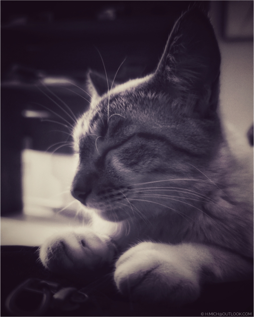 Studio-One.Art.br Repo Fotografia em Rio Preto SP/Brasil