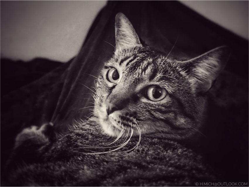 Studio-One.Art.br Repo Fotografia em Rio Preto SP/Brasil