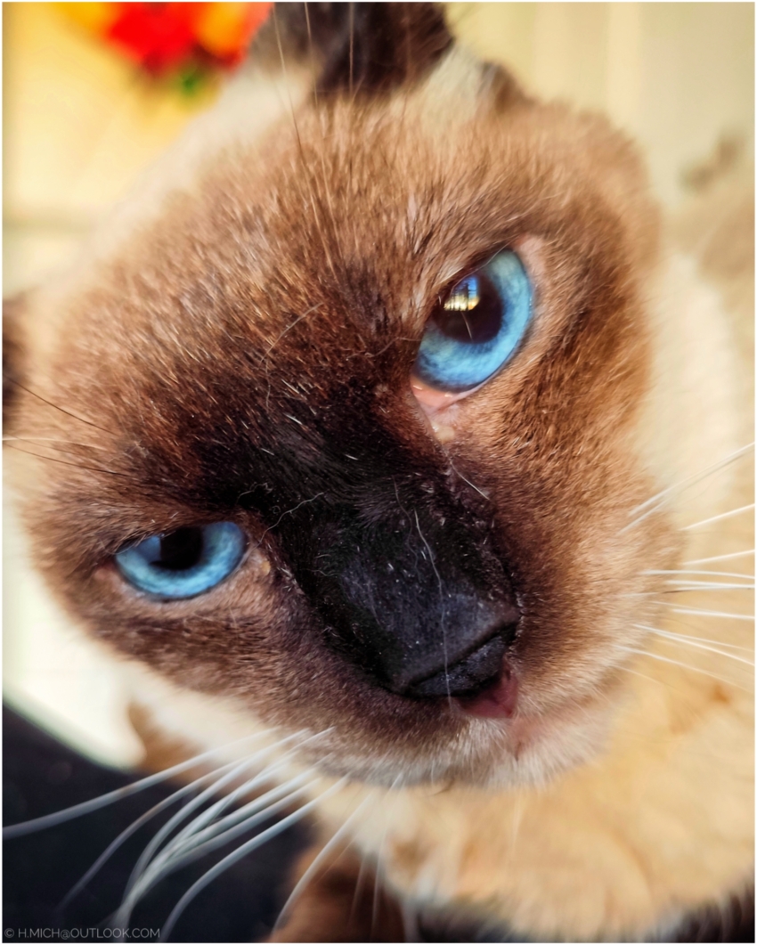 Studio-One.Art.br Repo Fotografia em Rio Preto SP/Brasil