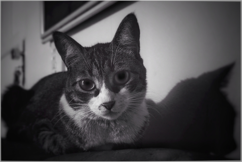 Studio-One.Art.br Repo Fotografia em Rio Preto SP/Brasil