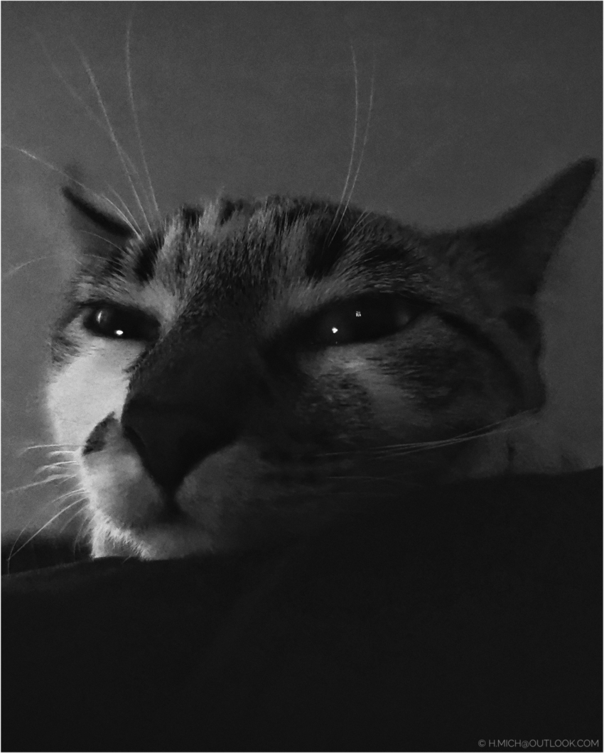 Studio-One.Art.br Repo Fotografia em Rio Preto SP/Brasil