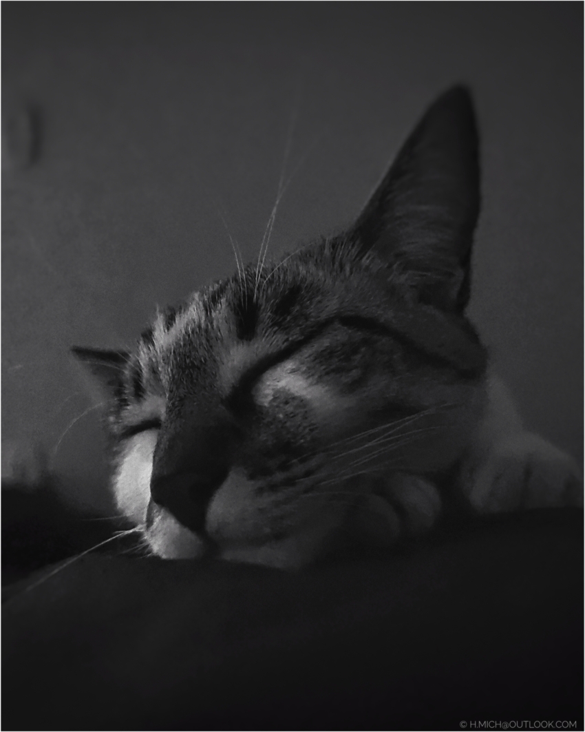 Studio-One.Art.br Repo Fotografia em Rio Preto SP/Brasil