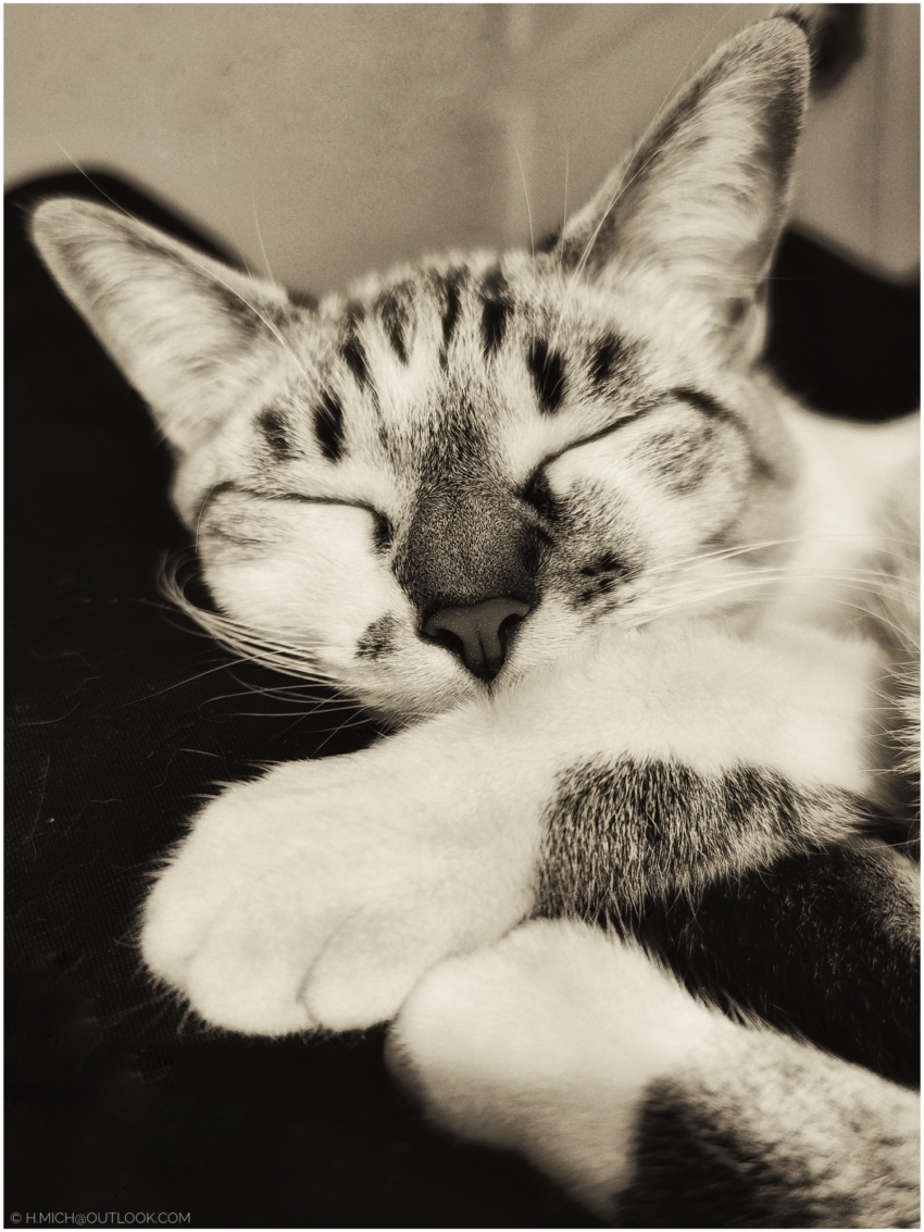 Studio-One.Art.br Repo Fotografia em Rio Preto SP/Brasil