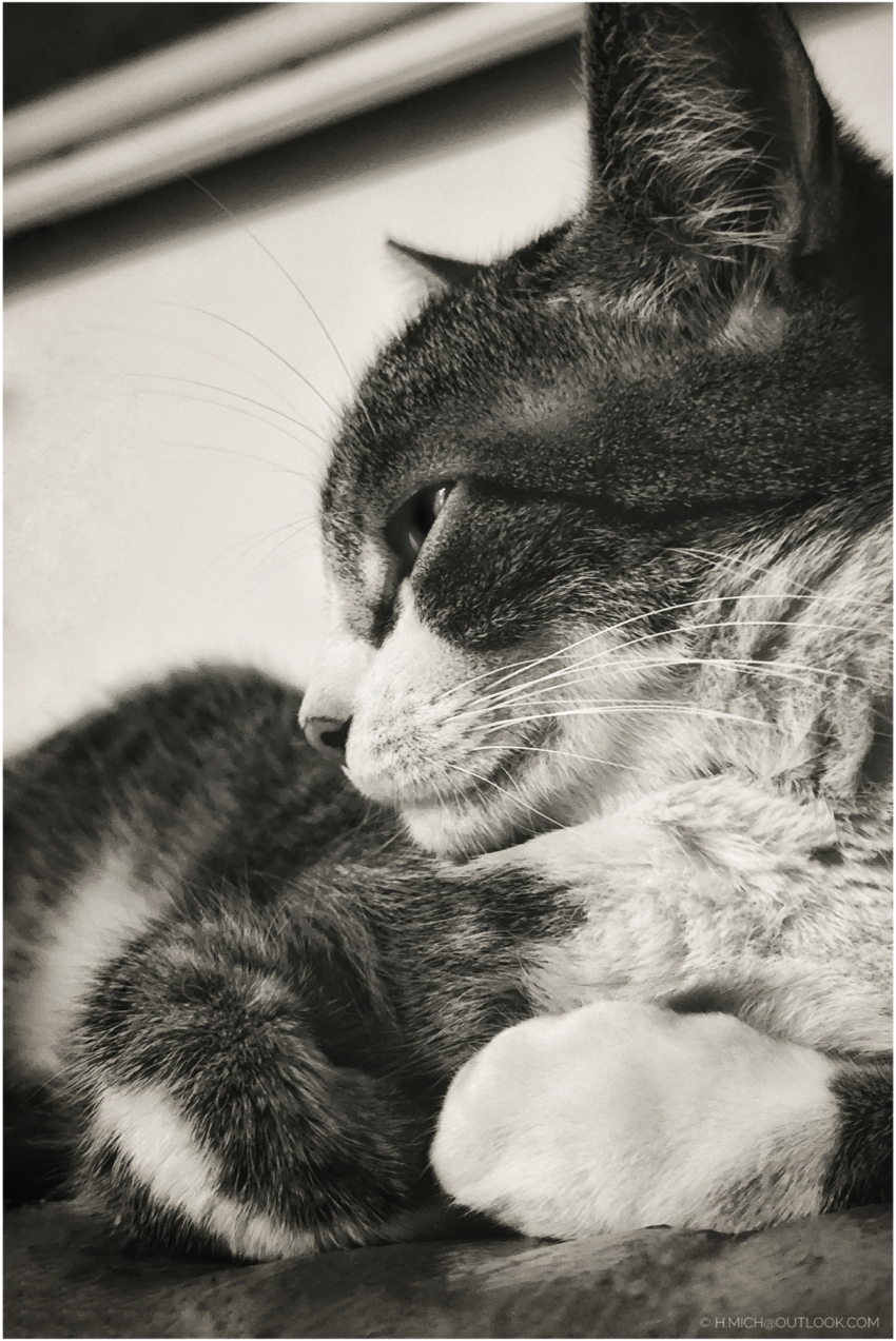 Studio-One.Art.br Repo Fotografia em Rio Preto SP/Brasil